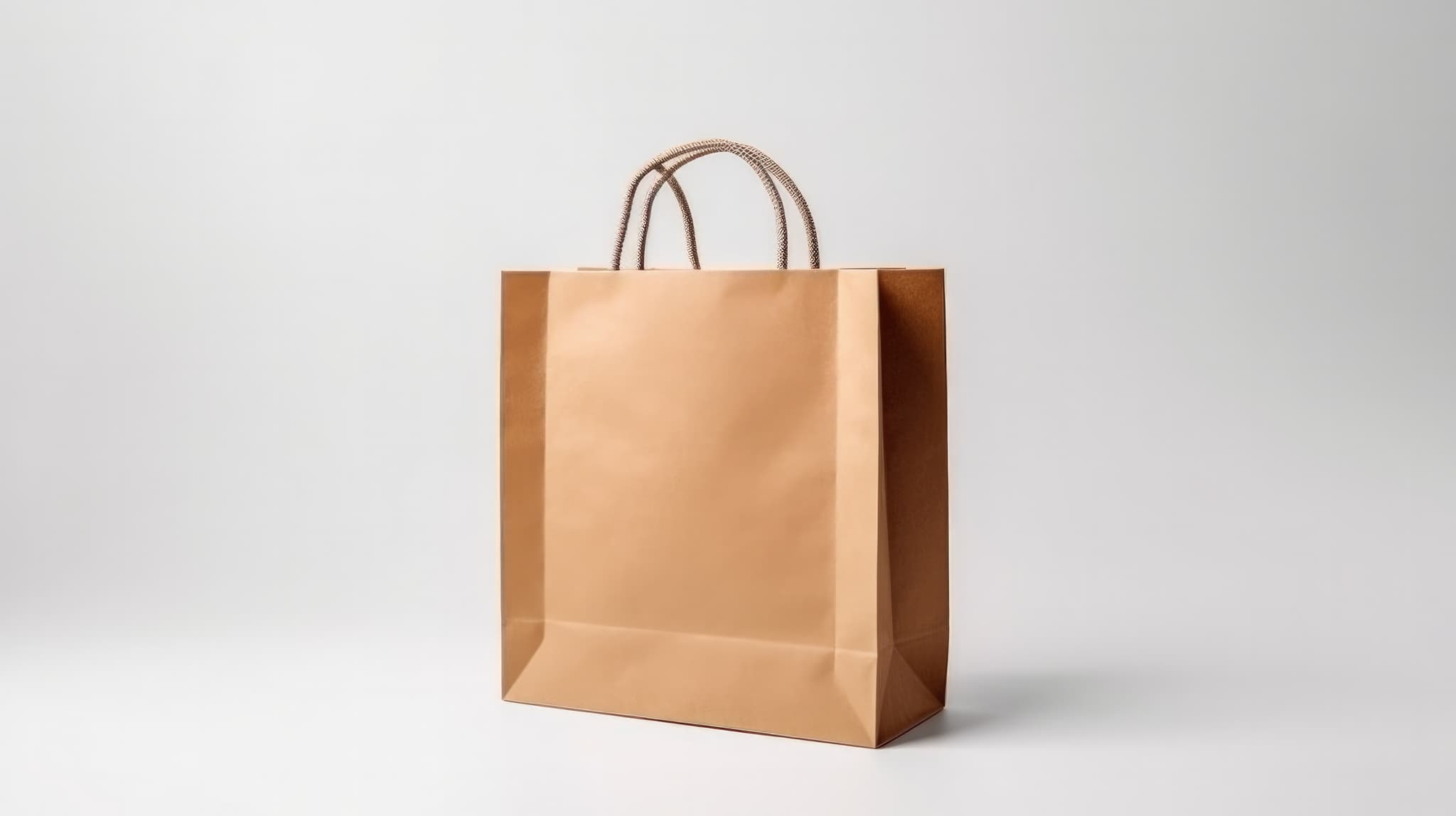 Paper Bags - Twisted Handle
